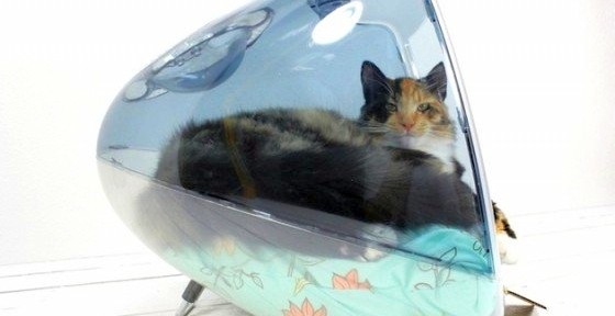 Upcycled Apple iMac-G3 pet bed