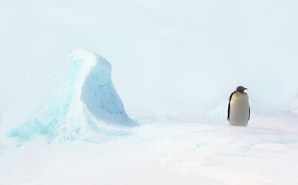 1 emperor penguin standing by a piece of wind carved ice