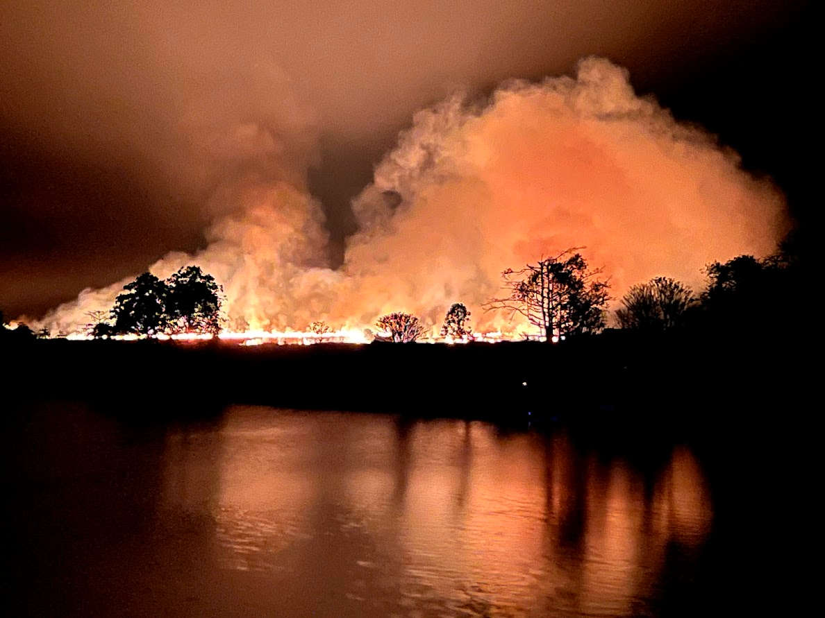 Controlled burn by Sepik River villagers