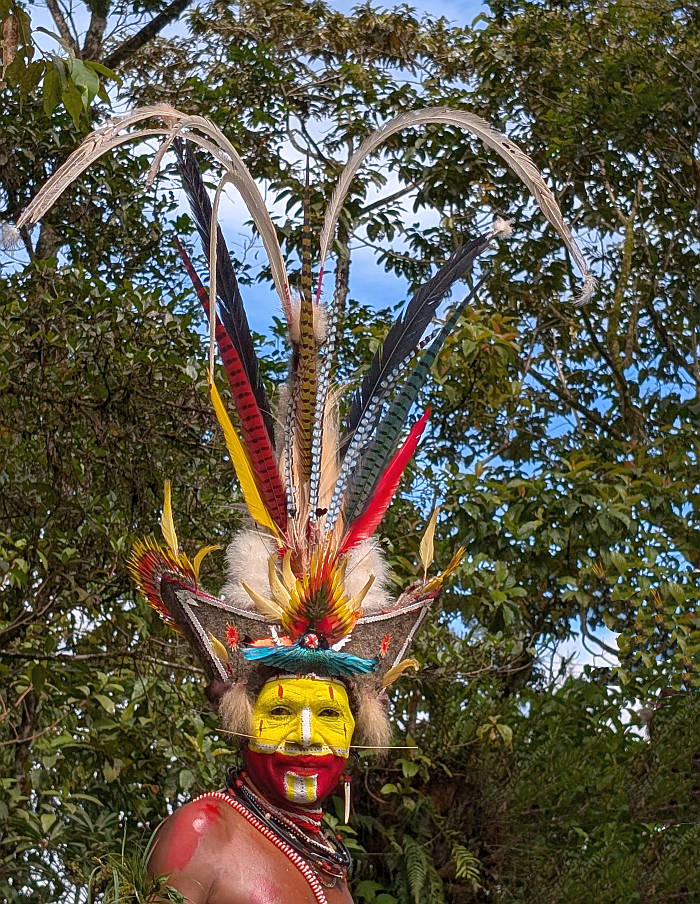 Huli headdress