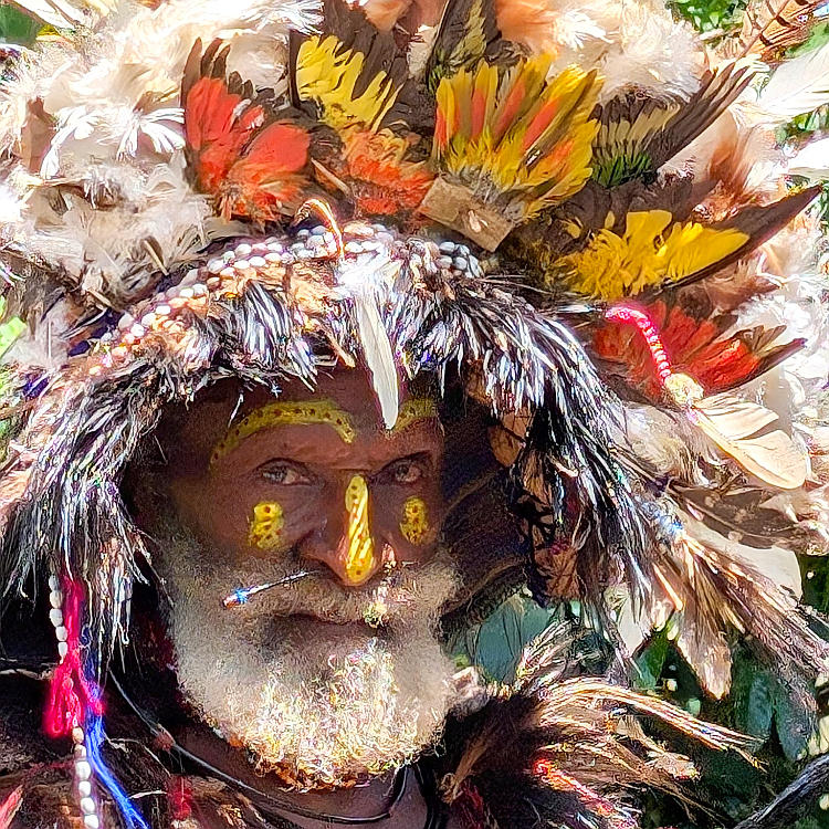 Feathered headdress of village elders